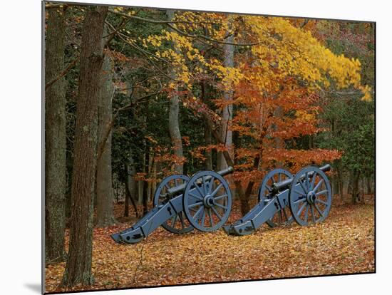 French Artillery, Colonial National Historic Park, Virginia, USA-Charles Gurche-Mounted Photographic Print