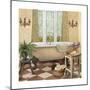 French Bath I-Elizabeth Medley-Mounted Premium Giclee Print