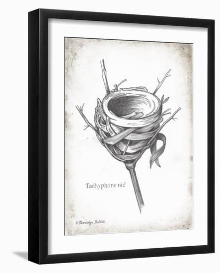 French Bird Nest I-Gwendolyn Babbitt-Framed Art Print