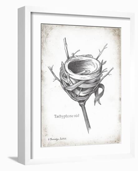 French Bird Nest I-Gwendolyn Babbitt-Framed Art Print