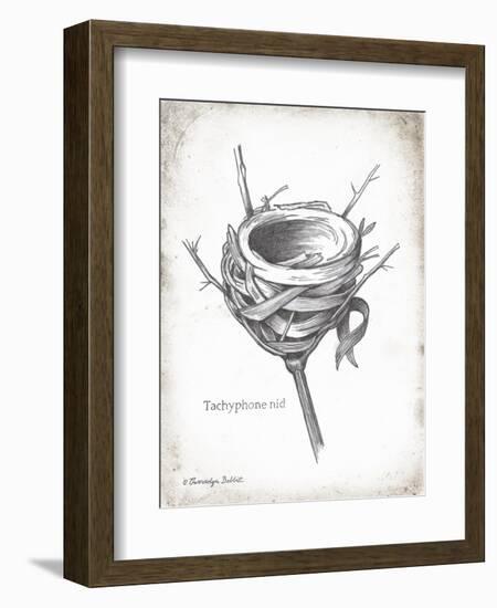 French Bird Nest I-Gwendolyn Babbitt-Framed Art Print