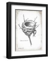 French Bird Nest I-Gwendolyn Babbitt-Framed Art Print