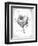 French Bird Nest I-Gwendolyn Babbitt-Framed Art Print
