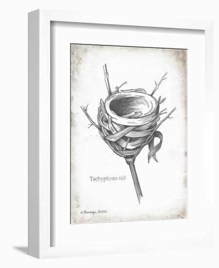 French Bird Nest I-Gwendolyn Babbitt-Framed Art Print