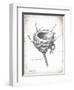 French Bird Nest I-Gwendolyn Babbitt-Framed Art Print