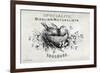 French Bird Nest I-Gwendolyn Babbitt-Framed Art Print