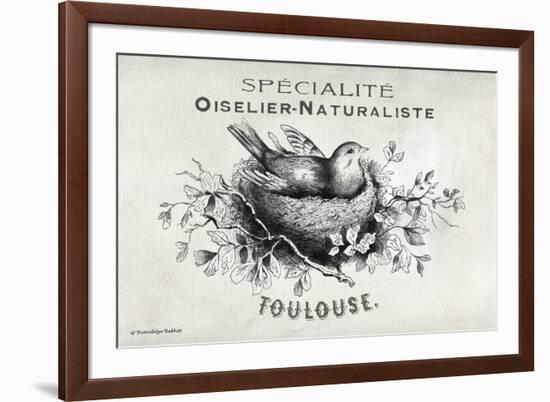 French Bird Nest I-Gwendolyn Babbitt-Framed Art Print