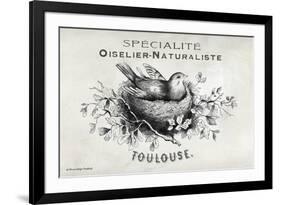 French Bird Nest I-Gwendolyn Babbitt-Framed Art Print