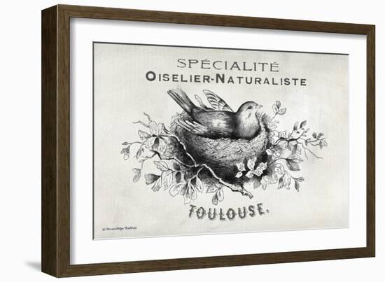 French Bird Nest I-Gwendolyn Babbitt-Framed Art Print