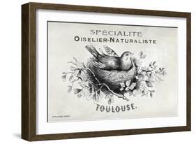 French Bird Nest I-Gwendolyn Babbitt-Framed Art Print