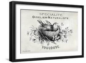 French Bird Nest I-Gwendolyn Babbitt-Framed Art Print