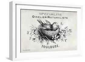 French Bird Nest I-Gwendolyn Babbitt-Framed Art Print