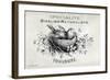 French Bird Nest I-Gwendolyn Babbitt-Framed Art Print