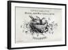 French Bird Nest I-Gwendolyn Babbitt-Framed Art Print