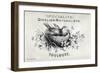 French Bird Nest I-Gwendolyn Babbitt-Framed Premium Giclee Print