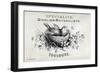 French Bird Nest I-Gwendolyn Babbitt-Framed Premium Giclee Print