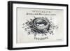 French Bird Nest II-Gwendolyn Babbitt-Framed Premium Giclee Print