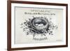 French Bird Nest II-Gwendolyn Babbitt-Framed Art Print