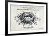 French Bird Nest II-Gwendolyn Babbitt-Framed Art Print