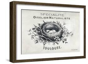 French Bird Nest II-Gwendolyn Babbitt-Framed Art Print