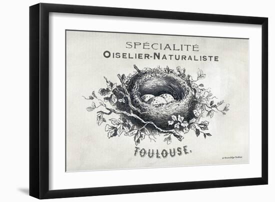 French Bird Nest II-Gwendolyn Babbitt-Framed Art Print