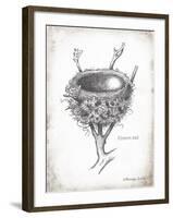 French Bird Nest II-Gwendolyn Babbitt-Framed Art Print