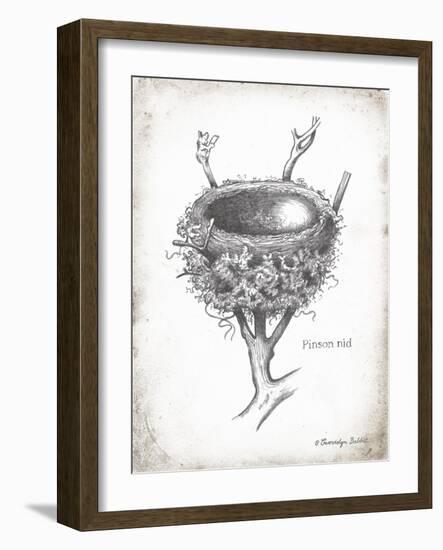 French Bird Nest II-Gwendolyn Babbitt-Framed Art Print