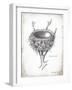 French Bird Nest II-Gwendolyn Babbitt-Framed Art Print