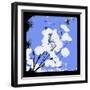 French Blue Money Art-Herb Dickinson-Framed Photographic Print