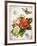 French Botanical I-Gwendolyn Babbitt-Framed Art Print