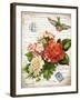 French Botanical I-Gwendolyn Babbitt-Framed Art Print