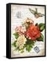 French Botanical I-Gwendolyn Babbitt-Framed Stretched Canvas