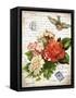 French Botanical I-Gwendolyn Babbitt-Framed Stretched Canvas