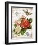 French Botanical I-Gwendolyn Babbitt-Framed Art Print