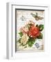 French Botanical I-Gwendolyn Babbitt-Framed Art Print