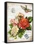 French Botanical I-Gwendolyn Babbitt-Framed Stretched Canvas