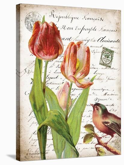 French Botanical II-Gwendolyn Babbitt-Stretched Canvas