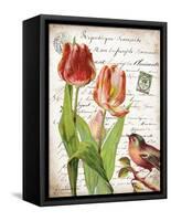 French Botanical II-Gwendolyn Babbitt-Framed Stretched Canvas