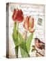 French Botanical II-Gwendolyn Babbitt-Stretched Canvas