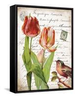 French Botanical II-Gwendolyn Babbitt-Framed Stretched Canvas