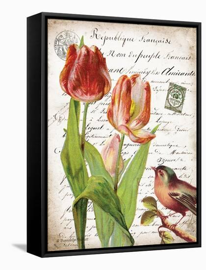 French Botanical II-Gwendolyn Babbitt-Framed Stretched Canvas