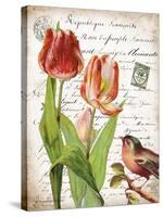 French Botanical II-Gwendolyn Babbitt-Stretched Canvas