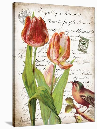French Botanical II-Gwendolyn Babbitt-Stretched Canvas