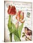 French Botanical II-Gwendolyn Babbitt-Stretched Canvas