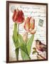 French Botanical II-Gwendolyn Babbitt-Framed Art Print