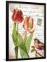 French Botanical II-Gwendolyn Babbitt-Framed Art Print