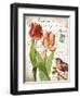 French Botanical II-Gwendolyn Babbitt-Framed Art Print