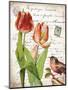 French Botanical II-Gwendolyn Babbitt-Mounted Art Print