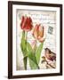 French Botanical II-Gwendolyn Babbitt-Framed Art Print