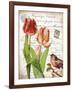 French Botanical II-Gwendolyn Babbitt-Framed Art Print